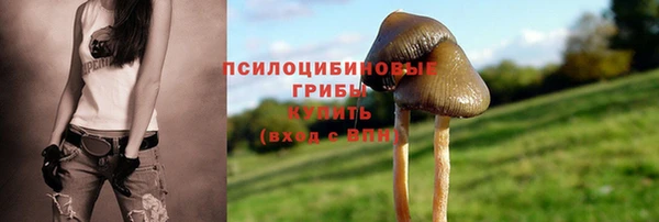 Альфа ПВП Алексеевка