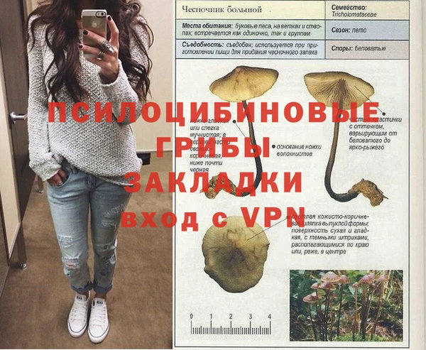 Альфа ПВП Алексеевка