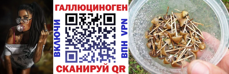 Галлюциногенные грибы GOLDEN TEACHER  хочу   Уяр 